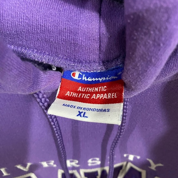 University of Delaware hoodie xlarge champion - Picture 5 of 5